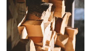 Which firewood is best to burn in a fireplace?